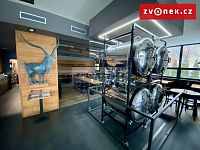 Kozlovna U Kozla Holešov