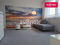 Byt 1+1 Jižní Svahy, vybavený