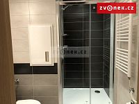 Byt 1+1 Zlín, Křiby, po rekonstrukci a vybavený, od 1.4.2026 - Obrázek k zakázce č.: 614693