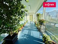 Krásný byt 2+kk (38m2) s velkou terasou a nádherným výhledem - Obrázek k zakázce č.: 728621