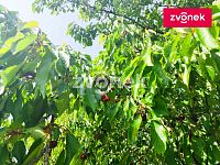 Stavební pozemek Těšnovice/KM - Obrázek k zakázce č.: 717042