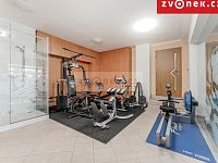 Reprezentativní vila s wellness + samostatný dům 3+1 – ideální pro rodinu i firmu - Obrázek k zakázce č.: 701006