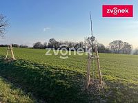 pole k prodeji, Velký Ořechov, 10196m2 - Obrázek k zakázce č.: 729131