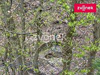 RD Štákovy Paseky u Zlína s velkou zahradou - Obrázek k zakázce č.: 728131