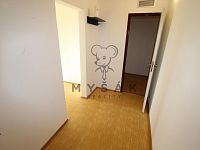 Prostorný 1+1 se šatnou a krásným výhledem, Rudolfovská tř., České Budějovice - IMG_5927.JPG