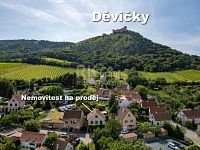 Prodej domu s vinárnou a vinným sklepem na hlavní vinařské stezce ve slavném Pavlově. - Fotka 44