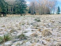 Prodej pozemku na krásném místě o výměře 2257 m2 s rybníčkem, katastr Ostrov u Březové - Fotka 16