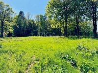 Prodej, stavební pozemek u lesa, 3 103 m², Tři Sekery - Chodovská Huť, okres Cheb - Fotka 10