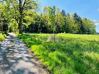 Prodej, stavební pozemek u lesa, 3 103 m², Tři Sekery - Chodovská Huť, okres Cheb - Fotka 16