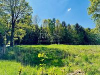 Prodej, stavební pozemek u lesa, 3 103 m², Tři Sekery - Chodovská Huť, okres Cheb - Fotka 8