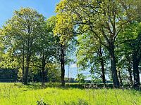 Prodej, stavební pozemek u lesa, 1 232 m², Tři Sekery - Chodovská Huť, okres Cheb - Fotka 6