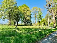 Prodej, stavební pozemek u lesa, 1 232 m², Tři Sekery - Chodovská Huť, okres Cheb - Fotka 8