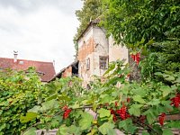 Rozmanitá nemovitost vhodná k dobudování v centru Bechyně. - Fotka 35