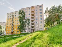 Prodej bytu 2+1, 59 m2, OV, ul. Dřevařská Cheb.