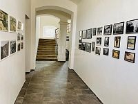 Pronájem prostorného bytu po rekonstrukci, 3+1,1.P, 90 m2, parkování, Lesní ulice – Mariánské Lázně - Fotka 15