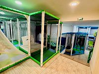 Prodej obchodního prostoru 186 m² s parkovacím stáním,  Mariánské Lázně - ul. Dvořákova - Fotka 4