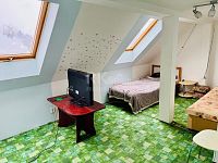 Prodej rodinného domu, 7+1, pozemek 4 452 m², garáž, rybník, skleníky, Valy u Mariánských Lázní - Fotka 12