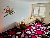 Prodej rodinného domu, 7+1, pozemek 4 452 m², garáž, rybník, skleníky, Valy u Mariánských Lázní - Fotka 13