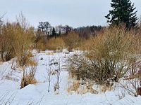 Prodej rodinného domu, 7+1, pozemek 4 452 m², garáž, rybník, skleníky, Valy u Mariánských Lázní - Fotka 17