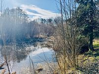 Prodej rodinného domu, 7+1, pozemek 4 452 m², garáž, rybník, skleníky, Valy u Mariánských Lázní - Fotka 18