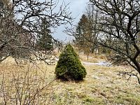 Pronájem zahrady, chaty, 3101 m2, Rájov - Mariánské Lázně - Fotka 12