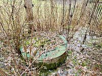 Pronájem zahrady, chaty, 3101 m2, Rájov - Mariánské Lázně - Fotka 13