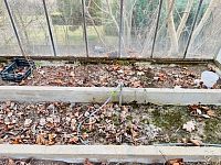 Prodej zahradní dřevěné chatky, skleníky, sklad,  pozemek 560 m2, Úšovice – Mariánské Lázně - Fotka 15