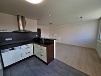 Pronájem bytu 3+1 Slaný, Na Vavřinci - Fotka 9