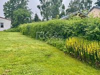Prodej samostatné dílny s kanceláří a zázemím – 93 m², pozemek 505 m², Krásné – Tři Sekery