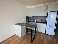 Pronájem bytu 1+kk, 32,3 m2 s lodžií, 3,8 m2, Praha 7 - Holešovice, ul. Jankovcova - Fotka 9