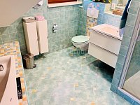 Prodej nadstandardního RD 5+1 s garáží, zahradou, pozemek 682 m² – Klimentov, Velká Hleďsebe - Fotka 18