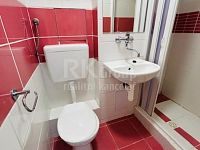 Pronájem světlého bytu 1+1, 30 m2 s pěkným výhledem 300 m od metra Hloubětín. - Fotka 10