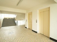 Pronájem světlého bytu 1+1, 30 m2 s pěkným výhledem 300 m od metra Hloubětín. - Fotka 29