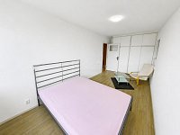 Pronájem světlého bytu 1+1, 30 m2 s pěkným výhledem 300 m od metra Hloubětín. - Fotka 37