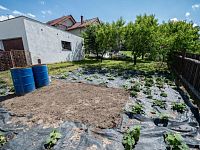 Prodej vícegeneračního domu v Sychrově u Mnichova Hradiště - NRL_2848.jpg