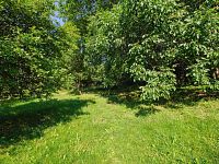 Prodej stavebního pozemku ve Zlaté Olešnici - NML_5313.jpg