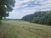 Prodej lesa v obci Paceřice - 9ab5636b-6e24-406f-9cc5-6470efa21953.jpeg