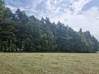 Prodej lesa v obci Paceřice - a906f0d0-6066-46bd-bf30-a624f184d9d7.jpeg