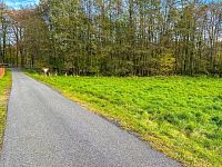 Prodej pozemku o výměře 3903m2 nedaleko Frýdlantu - 01ecf4d6-0ee3-49c2-8590-8356623b16e1.jpeg