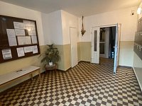 Pronájem bytu 2+kk v ulici Lužická - IMG_9859.jpg