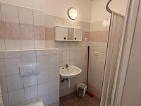 pronájem bytu 1+kk v cihlovém domě s parkováním - IMG_1718.JPG