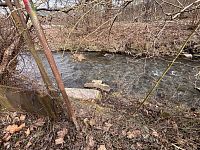 Prodej pozemku - zahrady na okraji města Hodkovice nad Mohelkou - IMG_2228.JPG