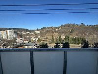 Pronájem, 1+1, 35 m2, Železný Brod, Na Vápence - IMG_9366.jpeg