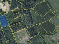 Prodej, les, 32 050m2, Plavy, Haratice - IMG_0017.jpeg
