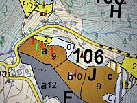 Prodej, les, 32 050m2, Plavy, Haratice - IMG_9316.jpeg