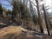 Prodej, les, 32 050m2, Plavy, Haratice - IMG_9633.jpeg