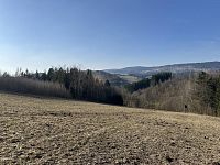 Prodej, les, 32 050m2, Plavy, Haratice - IMG_9635.jpeg