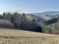 Prodej, les, 32 050m2, Plavy, Haratice - IMG_9637.jpeg