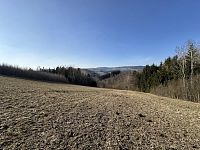 Prodej, les, 32 050m2, Plavy, Haratice - IMG_9638.jpeg