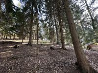 Prodej, les, 32 050m2, Plavy, Haratice - IMG_9656.jpeg